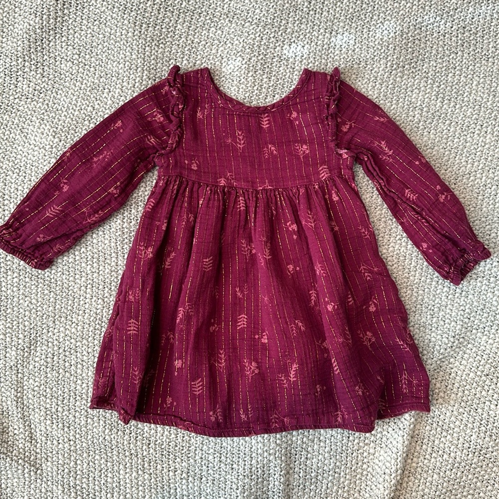 Cat & Jack 2t shimmery long sleeve dress